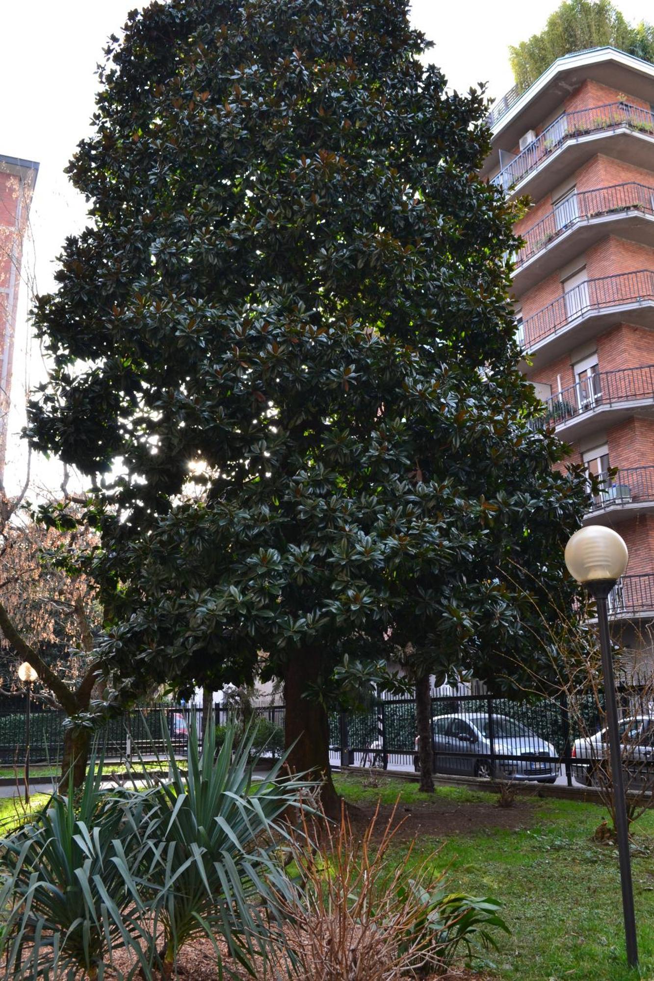 Mocenigo4 Apartamento Milão Exterior foto